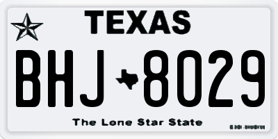 TX license plate BHJ8029