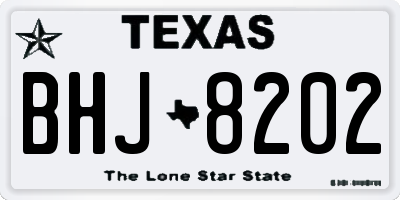 TX license plate BHJ8202