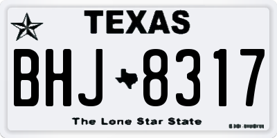 TX license plate BHJ8317