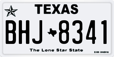 TX license plate BHJ8341
