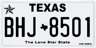 TX license plate BHJ8501