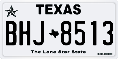 TX license plate BHJ8513