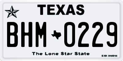 TX license plate BHM0229