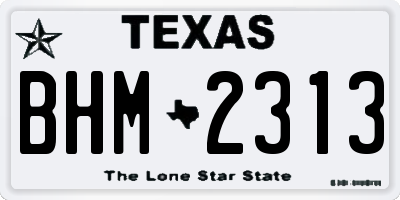 TX license plate BHM2313