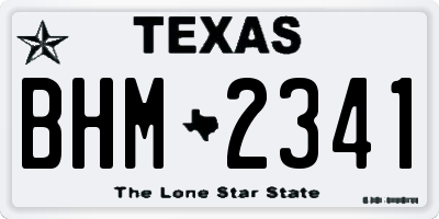 TX license plate BHM2341