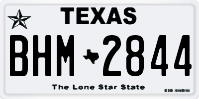 TX license plate BHM2844