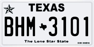 TX license plate BHM3101
