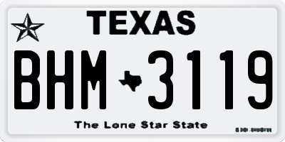 TX license plate BHM3119