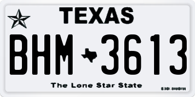 TX license plate BHM3613
