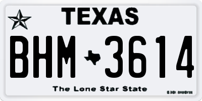 TX license plate BHM3614