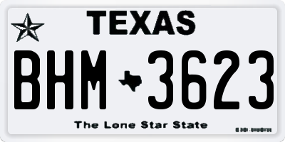 TX license plate BHM3623