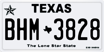 TX license plate BHM3828