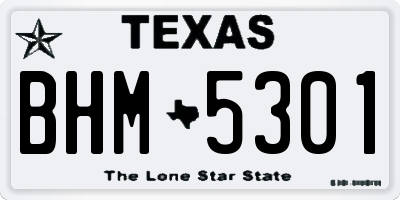 TX license plate BHM5301