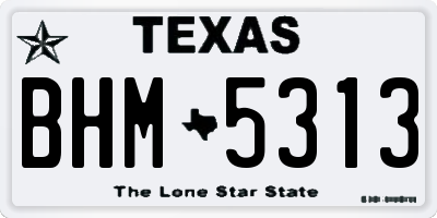 TX license plate BHM5313