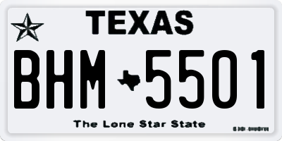 TX license plate BHM5501
