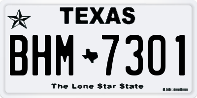 TX license plate BHM7301