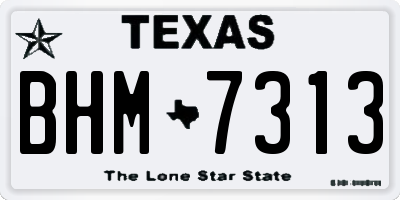 TX license plate BHM7313