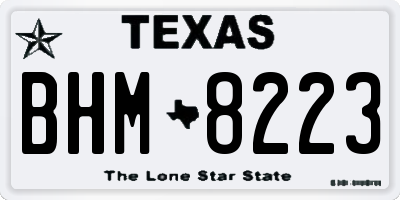TX license plate BHM8223