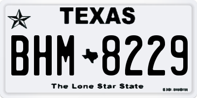 TX license plate BHM8229