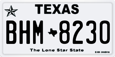TX license plate BHM8230