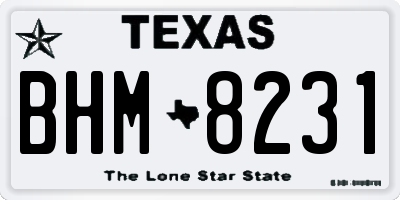 TX license plate BHM8231