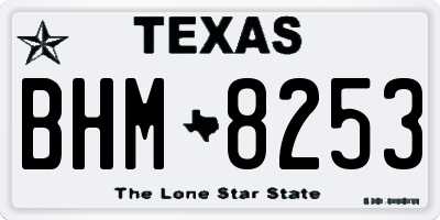 TX license plate BHM8253