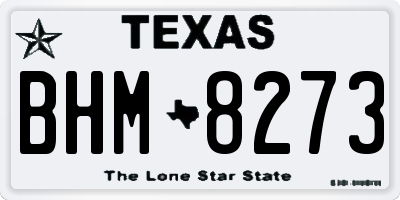 TX license plate BHM8273