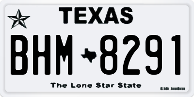 TX license plate BHM8291