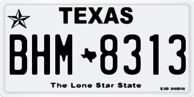 TX license plate BHM8313