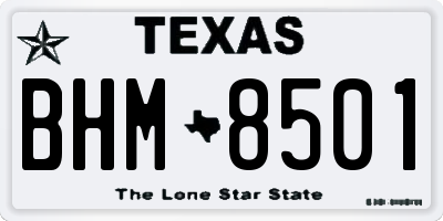 TX license plate BHM8501