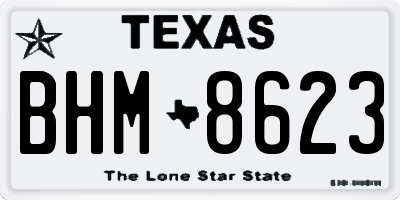 TX license plate BHM8623