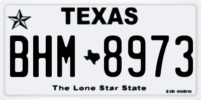 TX license plate BHM8973