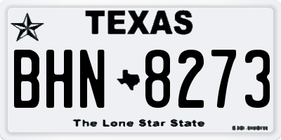 TX license plate BHN8273