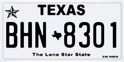 TX license plate BHN8301
