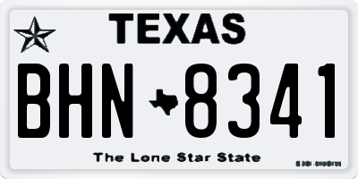 TX license plate BHN8341