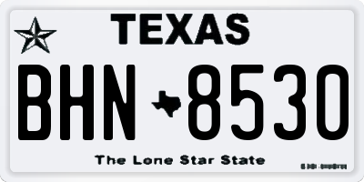 TX license plate BHN8530