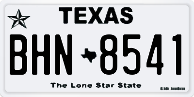 TX license plate BHN8541