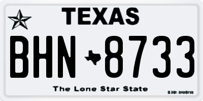 TX license plate BHN8733
