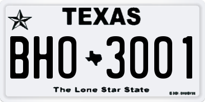 TX license plate BHO3001