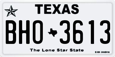 TX license plate BHO3613