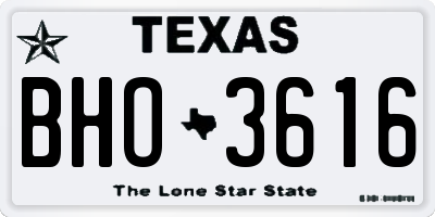 TX license plate BHO3616