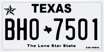 TX license plate BHO7501