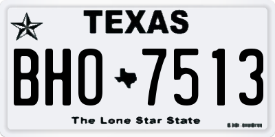 TX license plate BHO7513