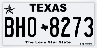 TX license plate BHO8273