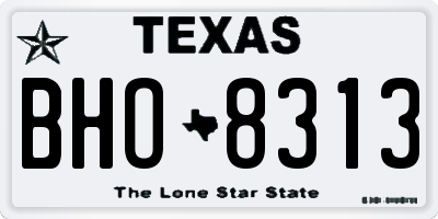 TX license plate BHO8313