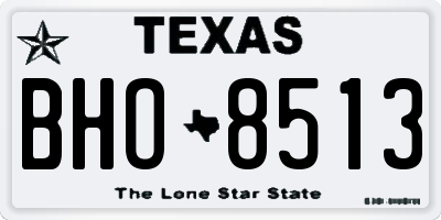 TX license plate BHO8513