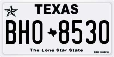 TX license plate BHO8530