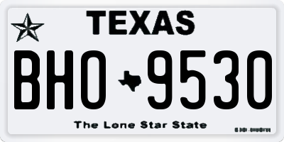 TX license plate BHO9530