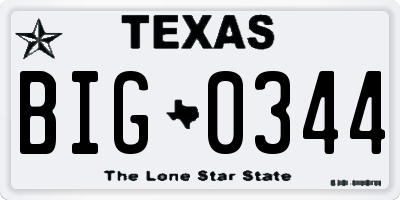 TX license plate BIG0344