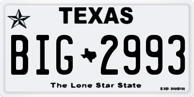 TX license plate BIG2993